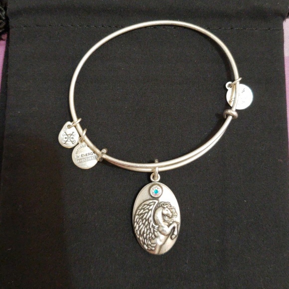 Pegasus Set NWOT - Picture 3 of 4